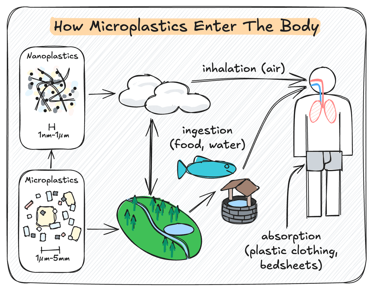 Going microplastic-free guide | No Plastic, No Problem
